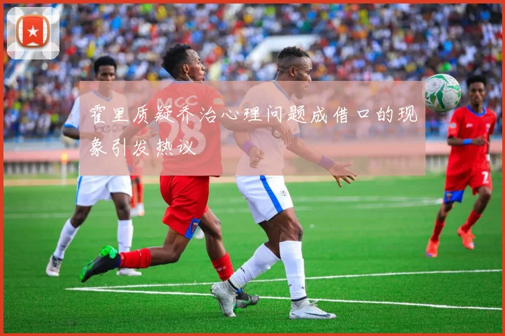 霍里质疑乔治心理问题成借口的现象引发热议