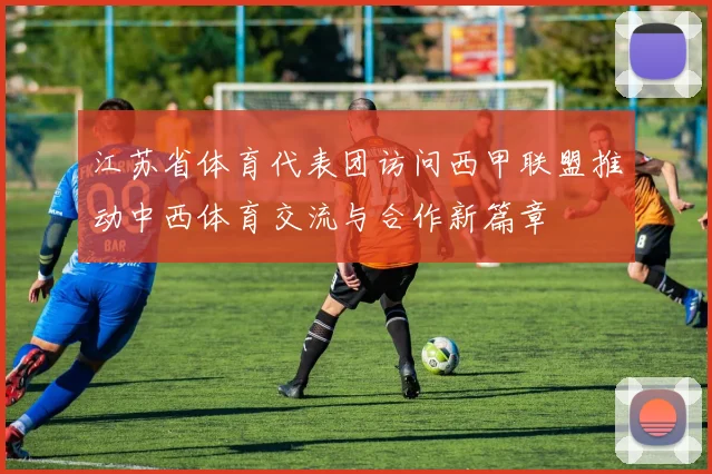 江苏省体育代表团访问西甲联盟推动中西体育交流与合作新篇章
